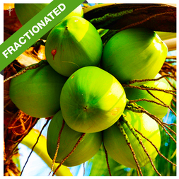 20L - COCONUT OIL - FRACTIONATED MCT OIL (PHILIPPINES) - 100% PURE OIL  (HYDROLYSIS & STEAM DISTILLATION)