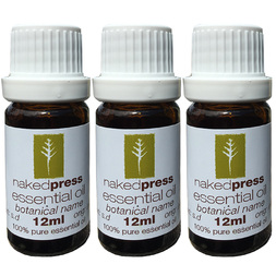 5ML x 3 - HOLIDAY BLEND - 100% PURE ESSENTIAL OIL BLEND