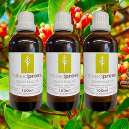100ML x 3 - CLOVE BUD OIL (INDONESIA) - 100% PURE ESSENTIAL OIL (STEAM DISTILLED) - AROMATHERAPY GRADE - (SYZYGIUM AROMATICUM)