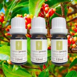 12ML x 3 - CLOVE BUD OIL (INDONESIA) - 100% PURE ESSENTIAL OIL (STEAM DISTILLED) - AROMATHERAPY GRADE - (SYZYGIUM AROMATICUM)