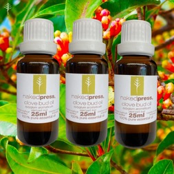 25ML x 3 - CLOVE BUD OIL (INDONESIA) - 100% PURE ESSENTIAL OIL (STEAM DISTILLED) - AROMATHERAPY GRADE - (SYZYGIUM AROMATICUM)