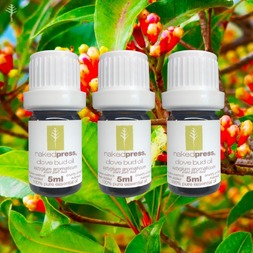 5ML x 3 - CLOVE BUD OIL (INDONESIA) - 100% PURE ESSENTIAL OIL (STEAM DISTILLED) - AROMATHERAPY GRADE - (SYZYGIUM AROMATICUM)