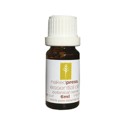 5ML - GINGER OIL (INDIA) - 100% PURE ESSENTIAL OIL (STEAM DISTILLED) - AROMATHERAPY GRADE - (ZINGIBER OFFICINALE)