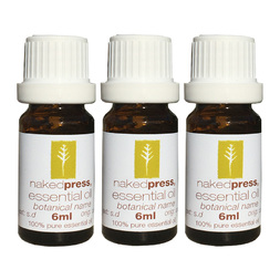 5ML x 3 - GINGER OIL (INDIA) - 100% PURE ESSENTIAL OIL (STEAM DISTILLED) - AROMATHERAPY GRADE - (ZINGIBER OFFICINALE)