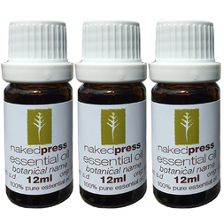 12ML x 3 - ROSE ABSOLUTE OIL (BULGARIA) - 100% PURE ESSENTIAL OIL (SOLV. EXTRACTED) - AROMATHERAPY GRADE -  (ROSA DAMASCENA.MILLER)