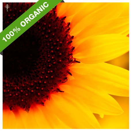 SUNFLOWER OIL (HOLLAND) - COLD PRESSED (REFINED) - 100% PURE ORGANIC OIL